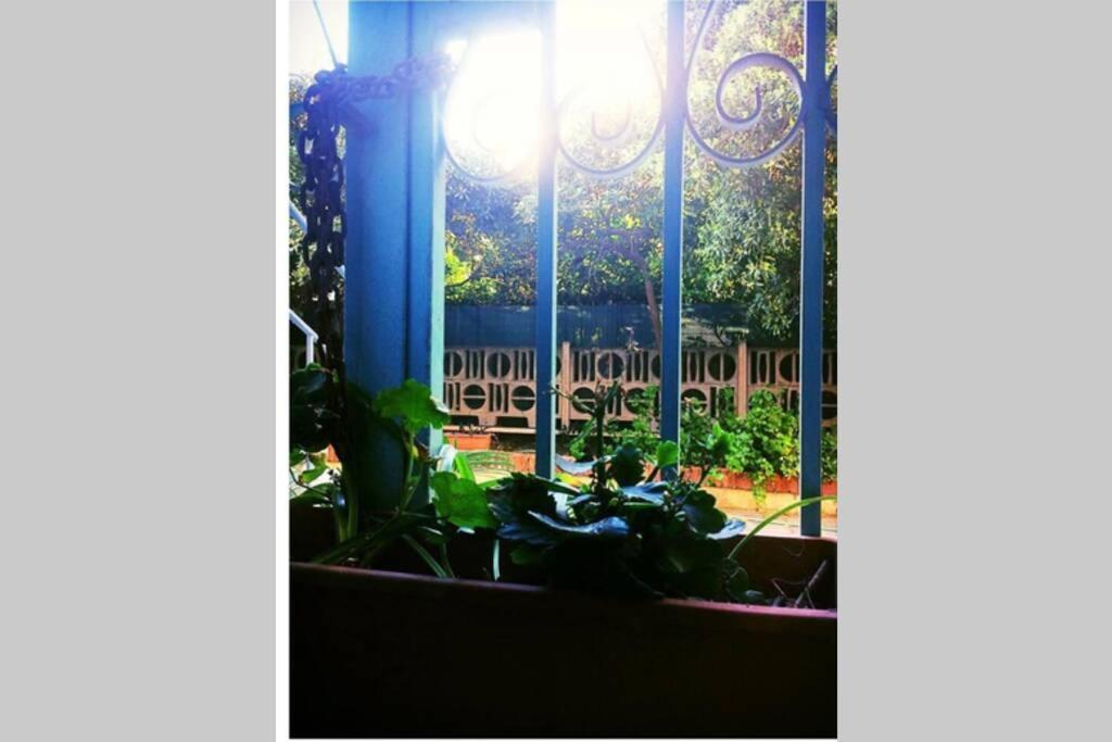 Cosy Studio Flat On The Seaside Apartment Lido di Ostia Exterior photo